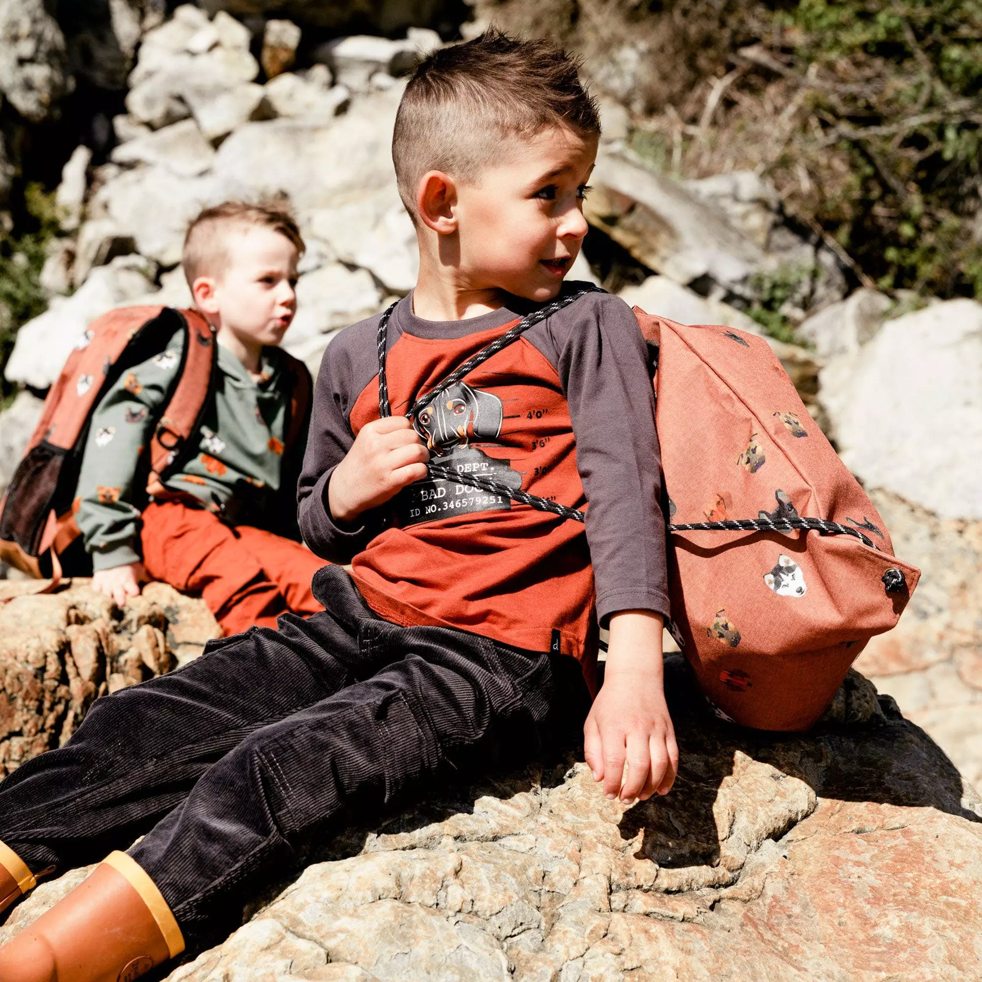 Deux Par Deux Long Raglan Sleeve Top With Printed Dogs - Image 5