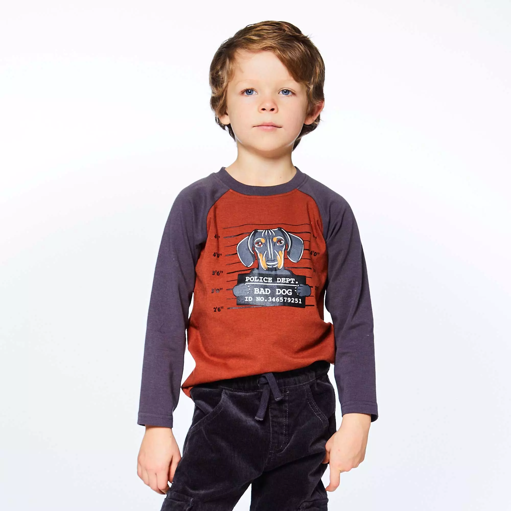 Deux Par Deux Long Raglan Sleeve Top With Printed Dogs - Image 2