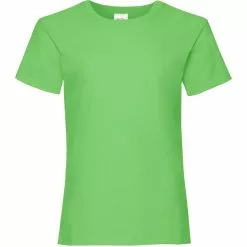 Of The Loom Fruit Of The Loom Big Girls Childrens Valueweight Short Sleeve T-Shirt (Lime)