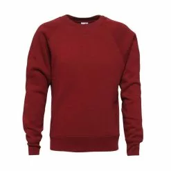 Absolute Apparel Childrens/Kids Sterling Sweat (Burgundy)