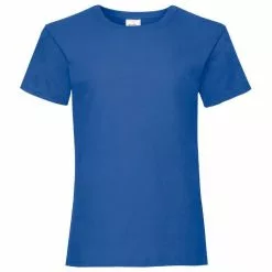 FRUIT OF THE LOOM Of The Loom Big Girls Childrens Valueweight Short Sleeve T-Shirt Pack Of 2 - Retro Heather Royal