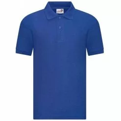 Awdis Childrens/Kids Academy Polo Shirt (Royal Blue)